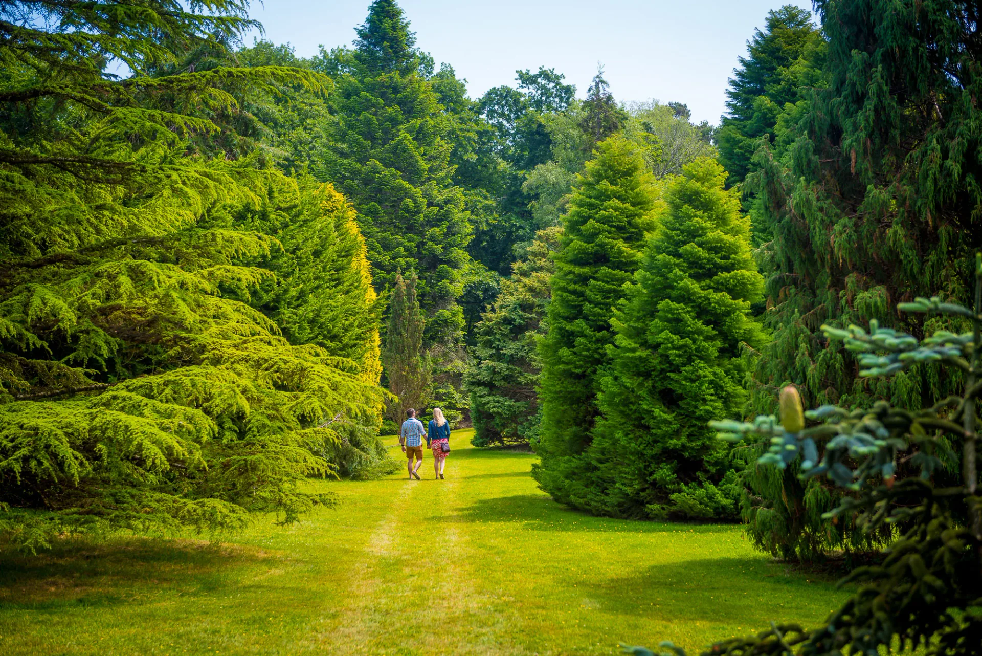 Introduction To Pinetum – Cornwall's Secret Garden